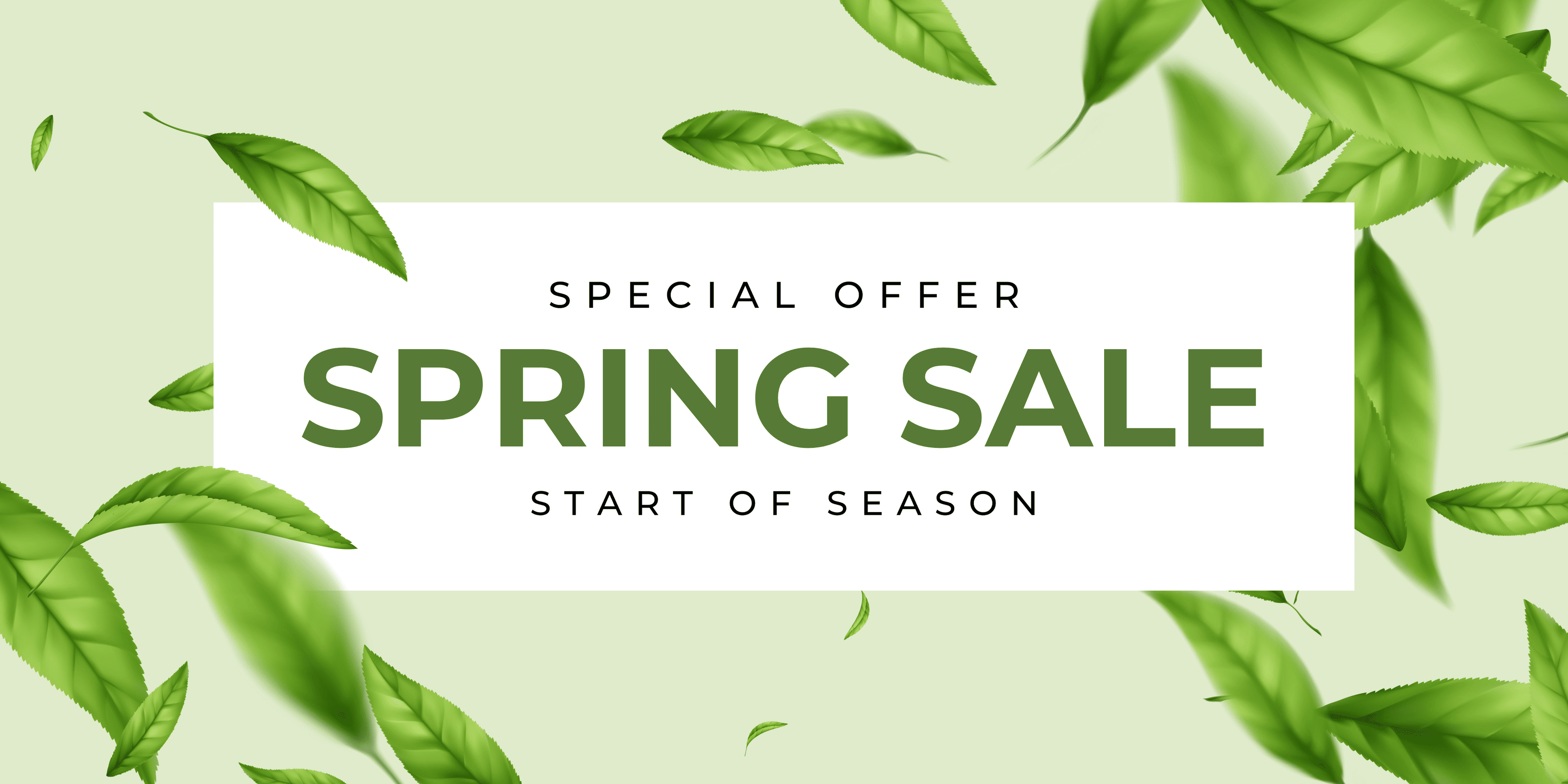 Spring sale banner with green leaves on a light green background